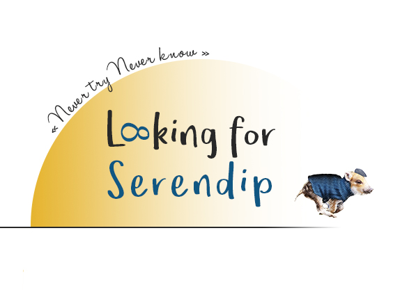 Looking for Serendip